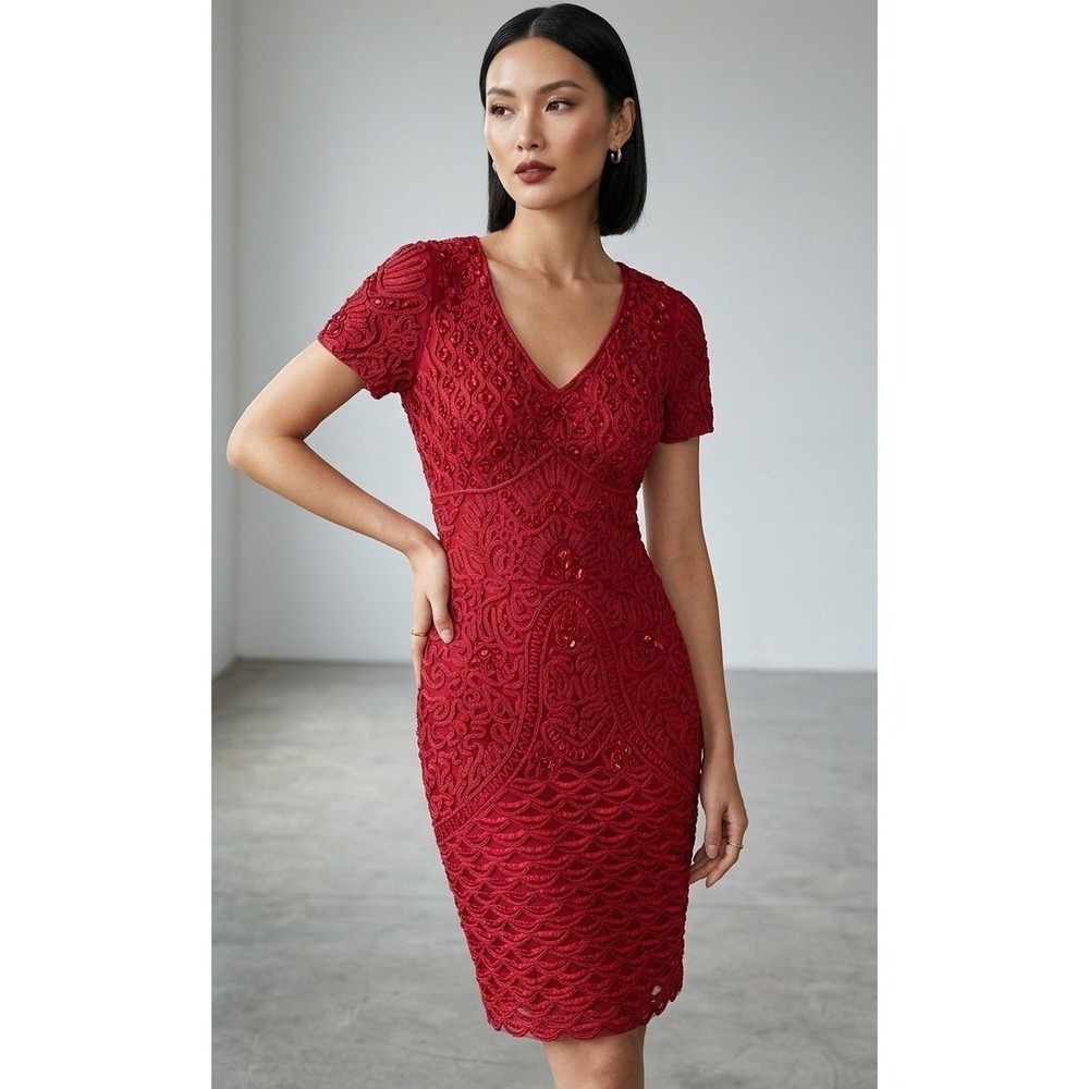 Sue Wong Sz4 Red Embroidered Mesh Lace Dress Formal Event Cocktail Soutache